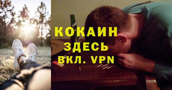 кокс Арсеньев
