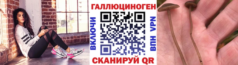 даркнет клад  Сафоново  Псилоцибиновые грибы прущие грибы 